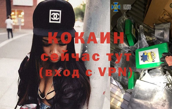 apvp Алзамай