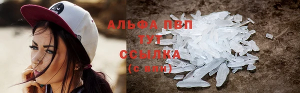 apvp Алзамай