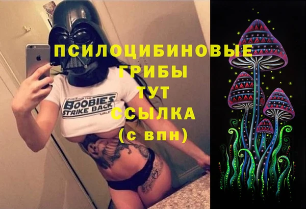 apvp Алзамай